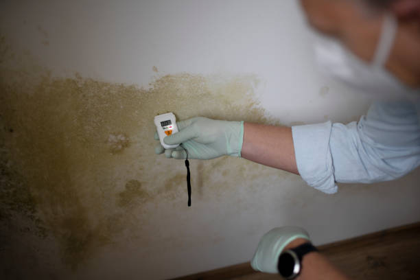 Best Emergency Mold Remediation in Coopertown, TN