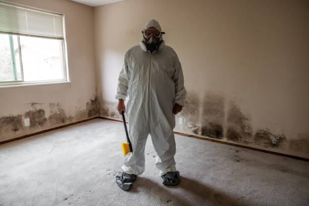 Best Post-Flood Mold Remediation in Coopertown, TN