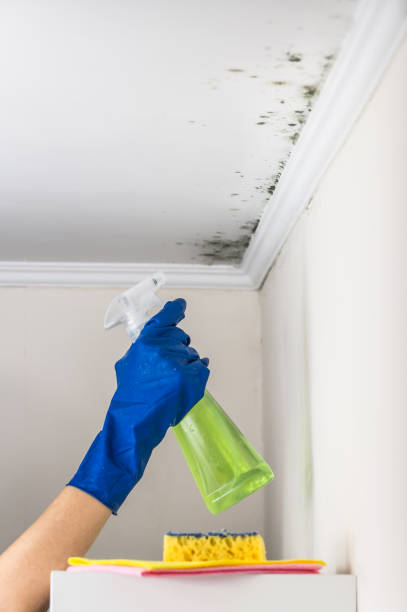 Best Kitchen Mold Remediation in Coopertown, TN
